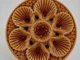 a close up of a plate with a flower design on it