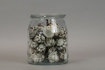 a glass jar with shells in it on a table