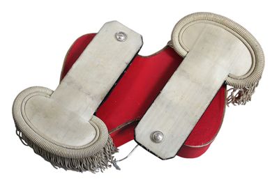 two pairs of shoes that are sitting on a red cushion