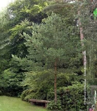 Destockage & Invendus