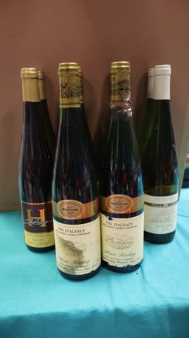 Lot de 10 bouteilles de vin d’Alsace 8 Riesling et 2 sylvaner