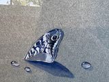 a picture of a picture of a fish in the water