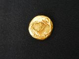 a close up of a gold coin on a black surface