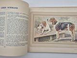 a book with a picture of two dogs on it