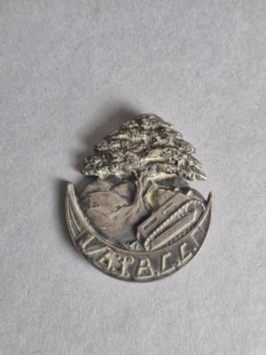 une pièce d'argent sur laquelle est représenté un arbre, posée sur une table