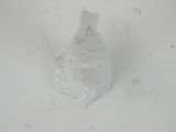 a plastic bag that has a fish inside of it