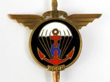 une image représentant un insigne sur lequel figure un parachute