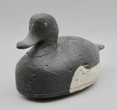 un canard noir et blanc posé sur une table