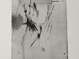 an image of a black and white drawing of a plant