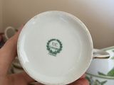 a person holding a cup and saucer in their hand