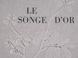 Photo 9/10 du lot