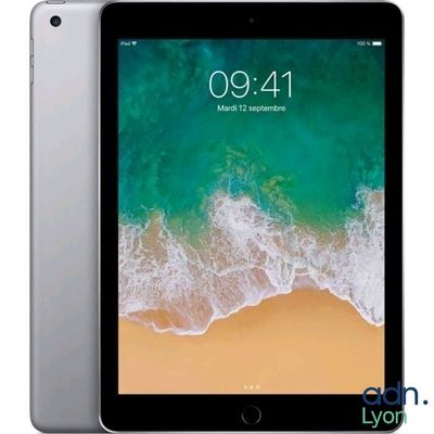 an apple ipad air is shown with its front camera open