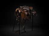 an image of a horse with a saddle on it ' s back