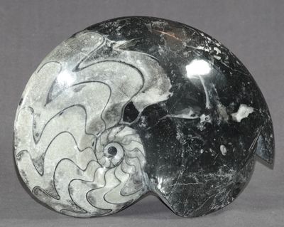 une sculpture en marbre noir et blanc représentant un poisson
