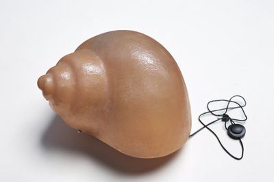 a plastic shell with a wire attached to it