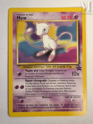a picture of a pokemon card with a white cat on it