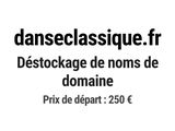 Photo 1/1 du lot