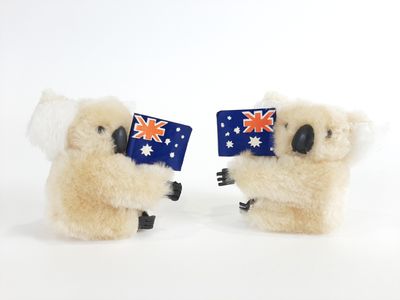 une paire de koalas en peluche tenant des drapeaux australiens sur fond blanc
