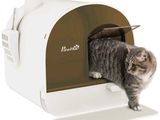 un chat debout à l'intérieur d'un bac à litière