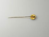 a close up of a gold pin on a white surface