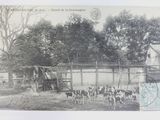 a black and white photo of a farm with a lot of animals