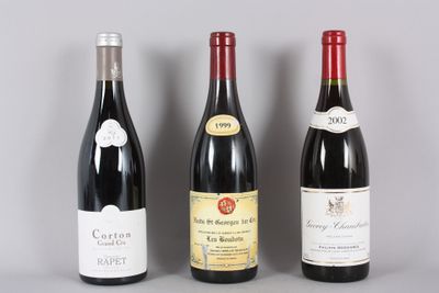 1 B GEVREY-CHAMBERTIN (accroc étiquette) Philippe Rossignol …