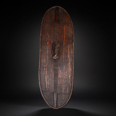 CONGO Bouclier BUSHONGO en fibre tressée avec double axe de … - Photo 1