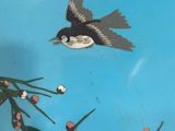 a bird that is flying in the sky near a tree