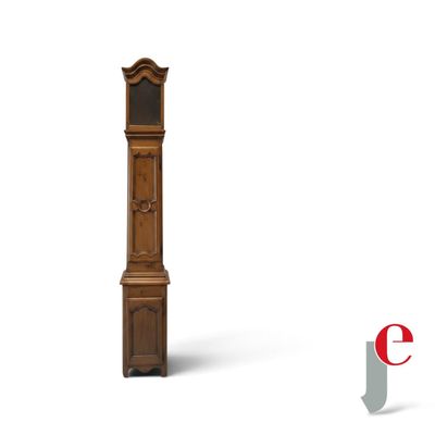 a tall wooden grandfather clock on a white background