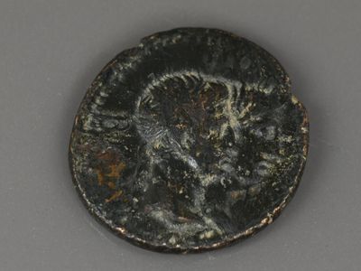 l'image d'une pièce de monnaie sur laquelle figure l'image d'un homme