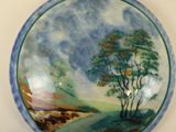 a plate with a painting on it on the wall