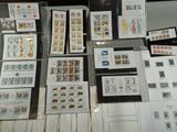 a lot of stamps on display in a glass case