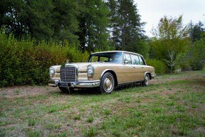 une voiture garée dans l'herbe près d'un buisson