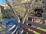 a small tree that is growing out of a wooden fence