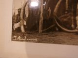 a black and white photo of a man sitting in front of an elephant ' s tusks