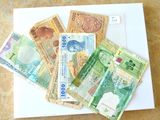de nombreux billets de banque de différentes valeurs disposés sur une assiette blanche