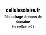 Photo 1/1 du lot