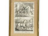 two drawings of a man on a horse and a man on a horse
