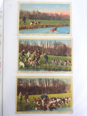 four pictures of people riding horses and dogs in a field