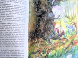 une image représentant un livre ouvert avec l'image d'un arbre