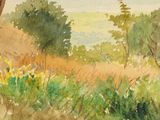 a watercolor painting of a field with trees in the background