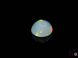 an oplite in the dark with its reflection on the surface