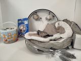 an image of a baby ' s infant ' s car seat and other items