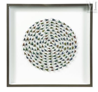 a framed picture of a circle made out of small bugs
