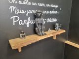 a cat sitting on a shelf in the corner of a bathroom