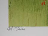 a picture of a picture of a red flower in a green field