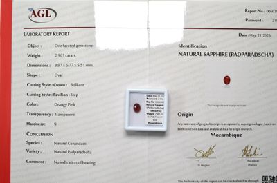 un certificat sur lequel figure l'image d'une pomme rouge
