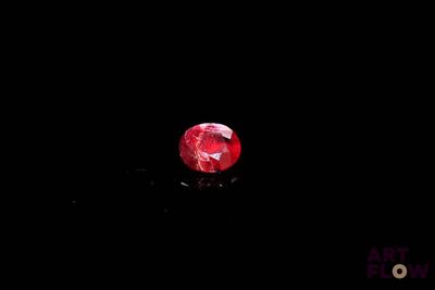 an image of a red apple in the dark