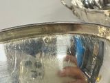 a person holding a silver bowl in front of a mirror