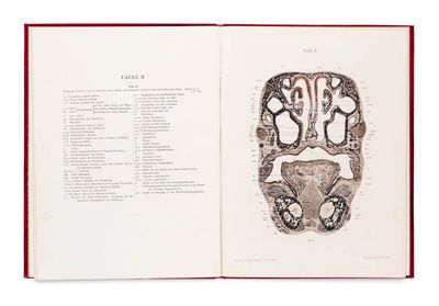 un livre ouvert dans lequel figure le dessin d'un cerveau